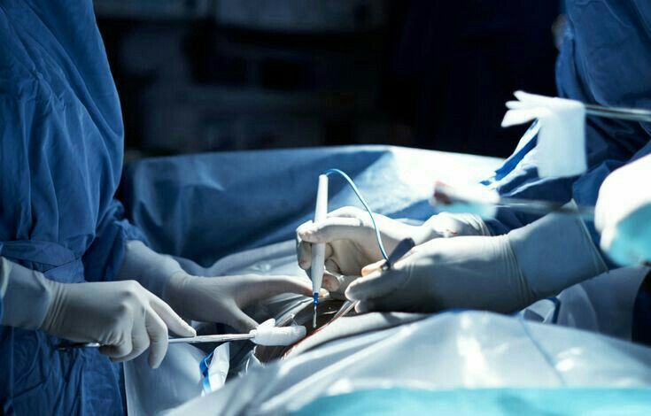 whatsapp image 2025 11 05 at 5.15.37 pm whatsapp image 2025 11 05 at 5.15.37 pm