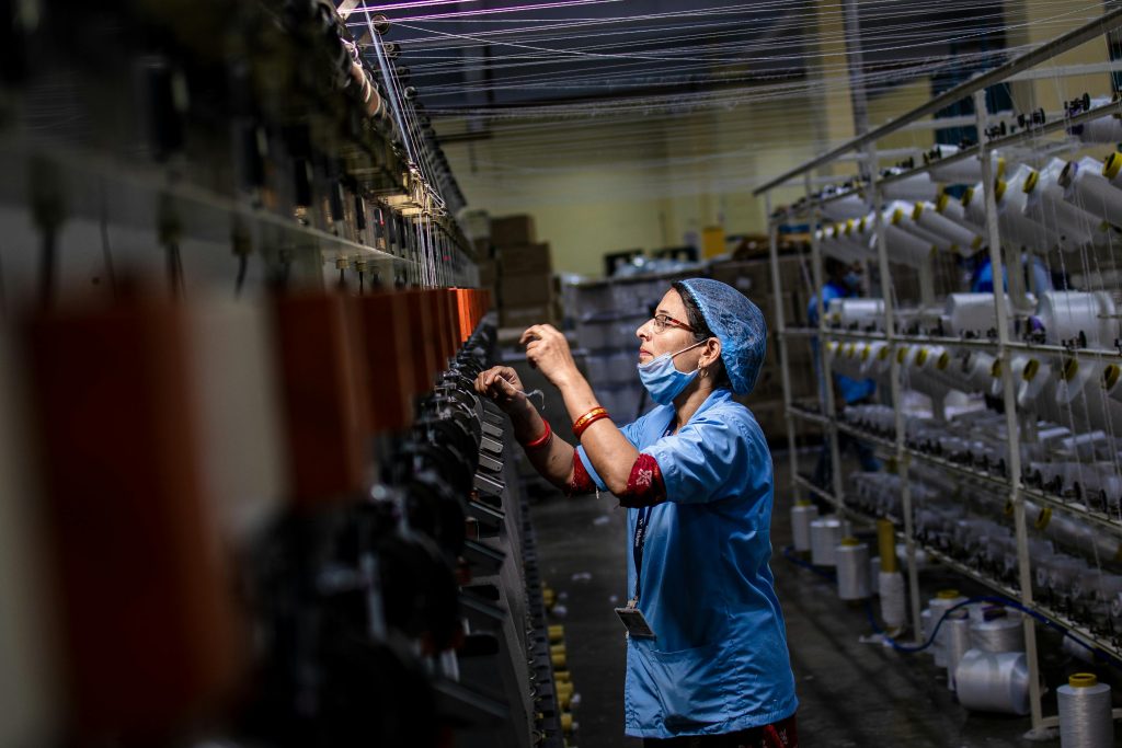 pexels equalstock 31212938 pexels equalstock 31212938